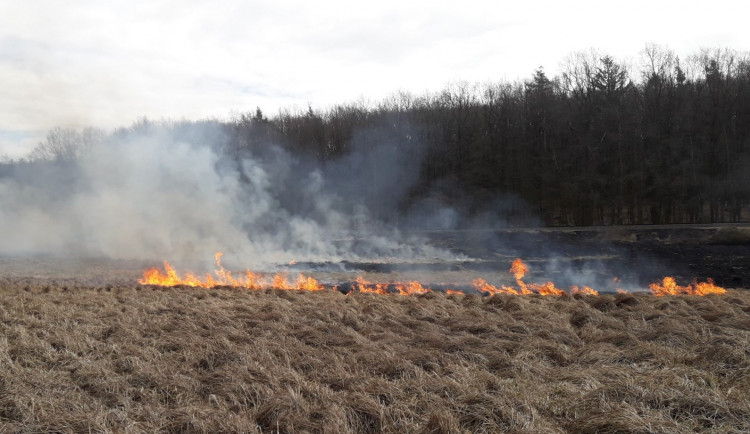 Hasiči bojují s požárem trávy u Vejprnic