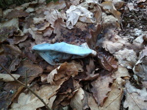 Prázdné lahve i použité roušky. Dobrovolníci sesbírali stovky kilo odpadu