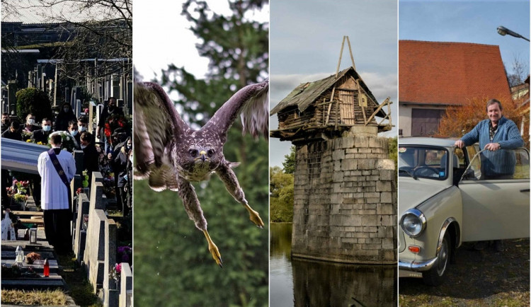 BŘEZEN 2021: Vládní opatření, útoky dravé zvěře i mladíci, kteří zachraňují bunkry