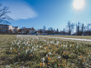 Téměř letní teploty vystřídá v Česku zima. O víkendu může také sněžit