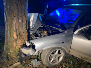 Řidič po nárazu do stromu na místě zemřel, jeho spolujezdec je těžce zraněný