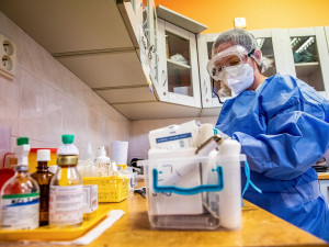 Epidemie koronaviru v Plzeňském kraji dál zpomaluje, počty nakažených mírně klesají