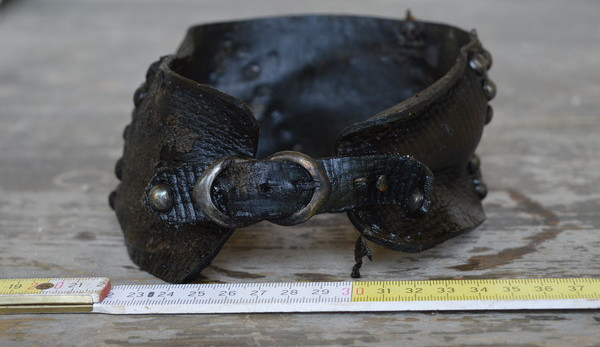 Záchodová jímka z počátku 18. století vydala další artefakty, kuriozitou je psí obojek