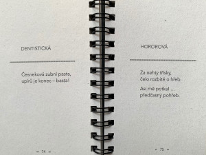 Senátor Lumír Aschenbrenner vydal už druhou neprodejnou sbírku svých mikrobásniček a opět je to síla