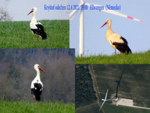 Takto vyfotografovali Kryštofa v pondělí v Německu