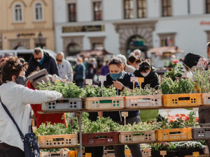 Farmářské trhy se vrací na náměstí v Plzni, stánků bude zatím o něco méně