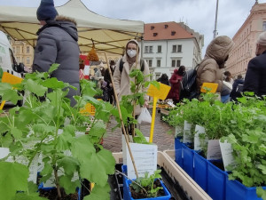 O farmářské trhy byl obrovský záměr, někteří trhovci měli během chvíle vyprodáno