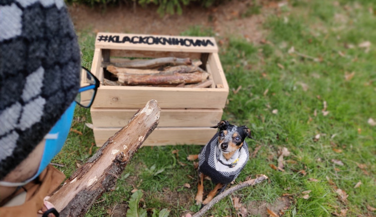 Už i psi mají svoji knihovnu, místo regálů s četbou jde o krabici plnou klacků