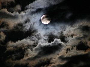 Foto: Jan Janda, Sušice