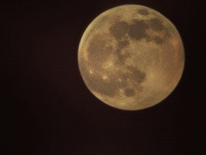 Foto: Michal Danis, Týnec u Klatov