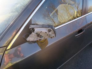 Jedna srnka za druhou, střetů vozidel se zvěří teď dramaticky přibývá