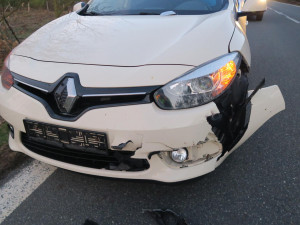 Jedna srnka za druhou, střetů vozidel se zvěří teď dramaticky přibývá