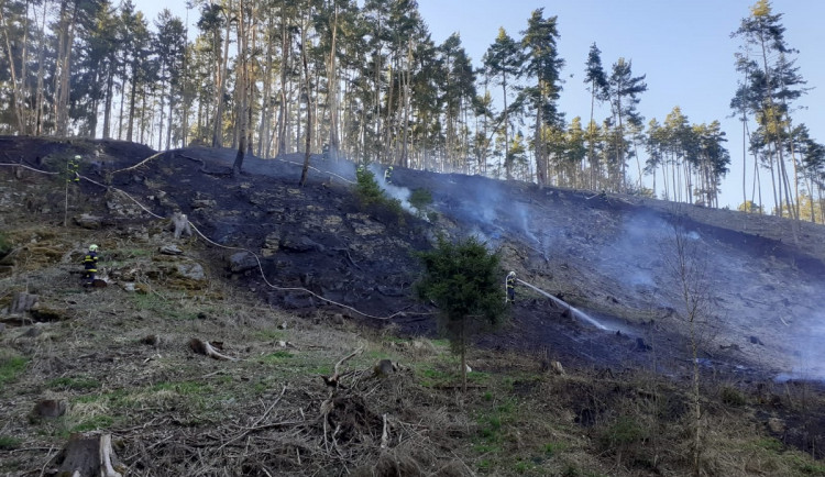 Nahlášené pálení se rychle vymklo kontrole, oheň zasáhl i část lesa