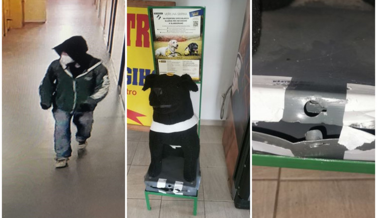 Zloděj vykradl kasičku ze sbírky pro slabozraké a nevidomé