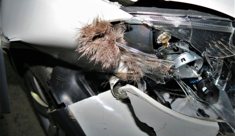 Tak dopadlo jedno auto po střetu se srnkou