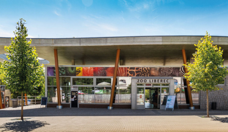 Koncert Hrajeme pro 20 ZOO vnímáme jako možnost poděkovat i poprosit o pomoc, říká gestorka