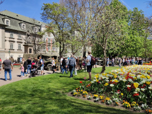 Davy lidí vyrazily do ulic města, foto: Drbna