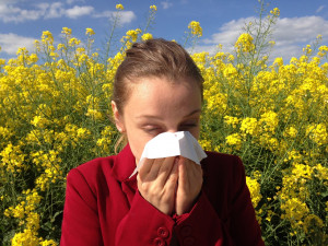 Alergie nás může zaskočit v každém věku, nejčasněji lidi trápí pyly a roztoči