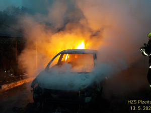 Kuna způsobila požár osobního auta, překousala kabely od elektroinstalace