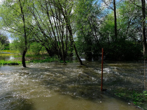Nejvíce se vylila z břehů Úslava v obci Prádlo, na jediném místě v Česku tam platí 3. stupeň povodňové aktivity