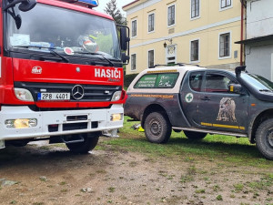 Stoupající hladina řek ohrožovala i hnízdící labutě, na pomoc jim musel vyrazit hasiči