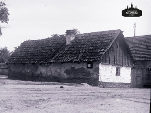 Pastuška v Čeminech, neznámý autor. Kolem roku 1926.