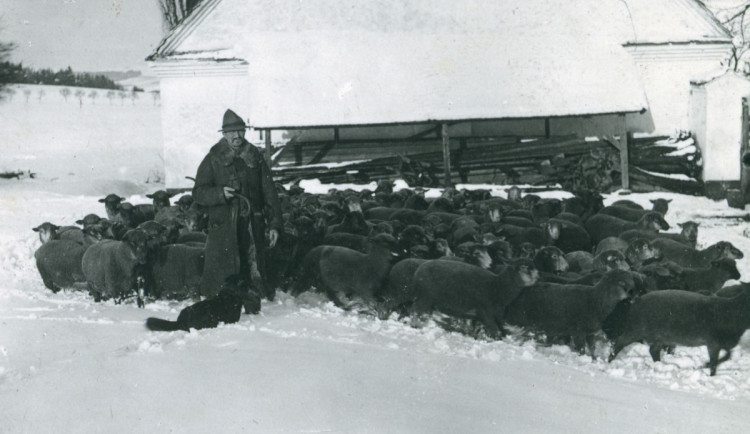 Pastýř Tolar z Bzí u Blovic, neznámý autor. Pravděpodobně 30. léta 20. století.