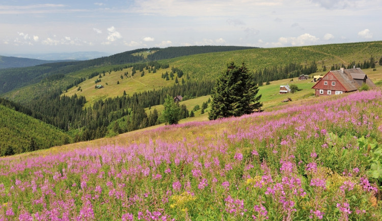 Správa KRNAP zažalovala jednatele Klínových Bud kvůli vyhrožování ochráncům přírody