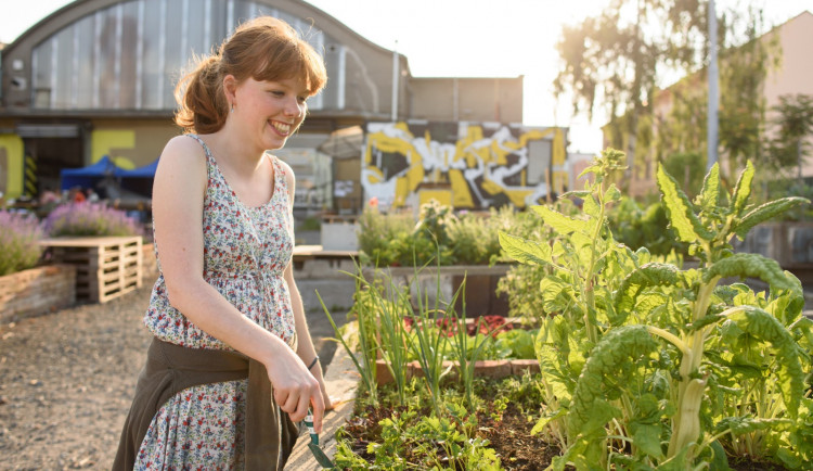 Milovníci zahradničení se dočkají nového festivalu věnovanému městskému pěstování