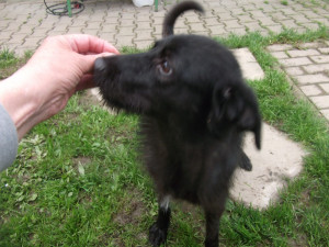 Teď už je Nelinka v pořádku