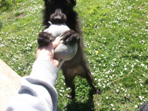 Teď už je Nelinka v pořádku