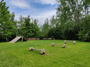 Psi se svými páníčky už mohou vesele dovádět na nové psí loučce