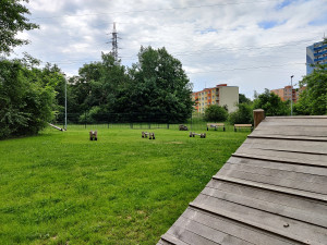 Psi se svými páníčky už mohou vesele dovádět na nové psí loučce