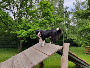 Psi se svými páníčky už mohou vesele dovádět na nové psí loučce