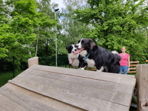 Psi se svými páníčky už mohou vesele dovádět na nové psí loučce