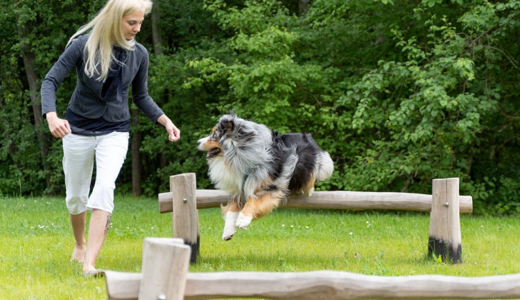 Psi se svými páníčky už mohou vesele dovádět na nové psí loučce, foto: Úřad městského obvodu Plzeň 3