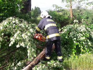 Krajem se v noci prohnala bouřka, hasiči likvidovali popadané stromy i čerpali vodu ze sklepů