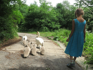 Cíl cesty se blíží