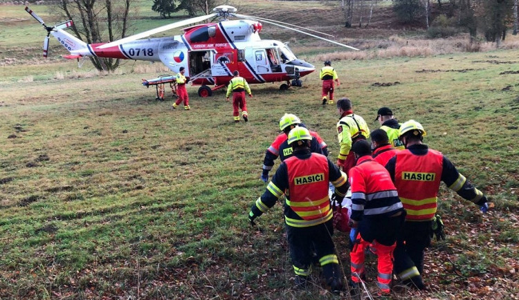 Při kácení dřeva v lese na Šumavě spadl strom na muže, na následky zranění zemřel v nemocnici