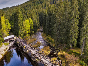 Rekonstrukce unikátního hradlového mostu Rechle u šumavské Modravy se odkládá