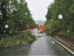 Bouří vyvrácený strom spadl na Klatovsku na projíždějící auto, hasiči měli v kraji přes 350 výjezdů