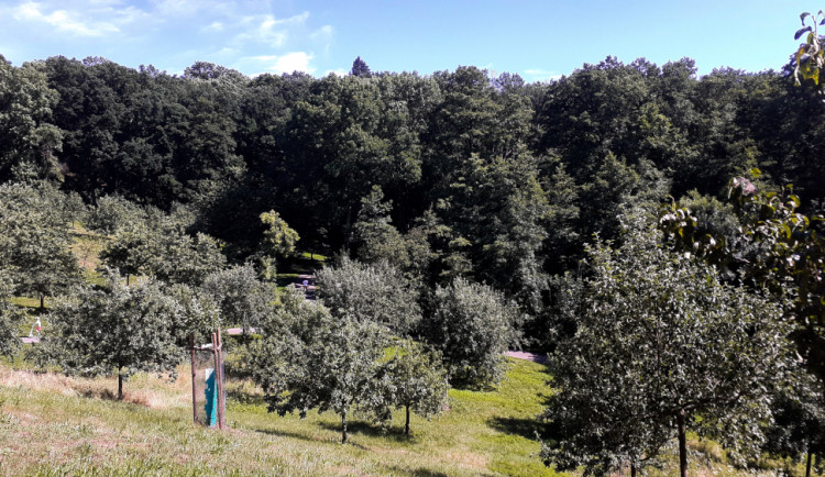 Kam o víkendu? Na Cibulce vás čeká rozhledna i úkoly pro děti