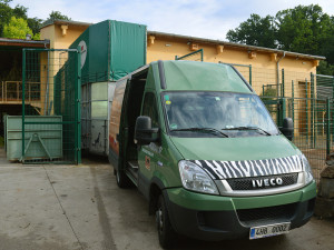 Žirafí samec Bořek se rozloučil s Plzní, nově posílí chov v Safariparku ve Dvoře Králové