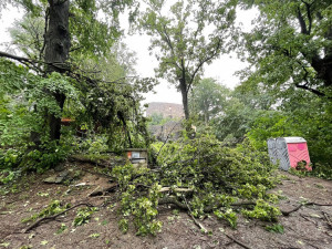 Při bouři spadlo na chalupu hned pět stromů, majitele museli vysvobodit hasiči