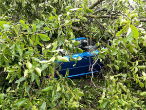 Při bouři spadlo na chalupu hned pět stromů, majitele museli vysvobodit hasiči