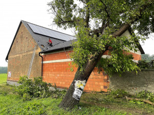 Při bouři spadlo na chalupu hned pět stromů, majitele museli vysvobodit hasiči