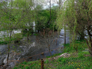 Hladiny řek v Plzeňském kraji klesají, druhý stupeň je jen na Klabavě