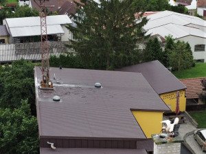 Matka roku. Po smrti partnera se dokázala samice čápa postarat bez pomoci lidí o tři mláďata