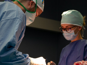 Studenti medicíny mají příležitost vyzkoušet své praktické dovednosti na čtyřnohých pacientech