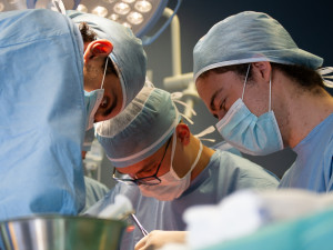 Studenti medicíny mají příležitost vyzkoušet své praktické dovednosti na čtyřnohých pacientech